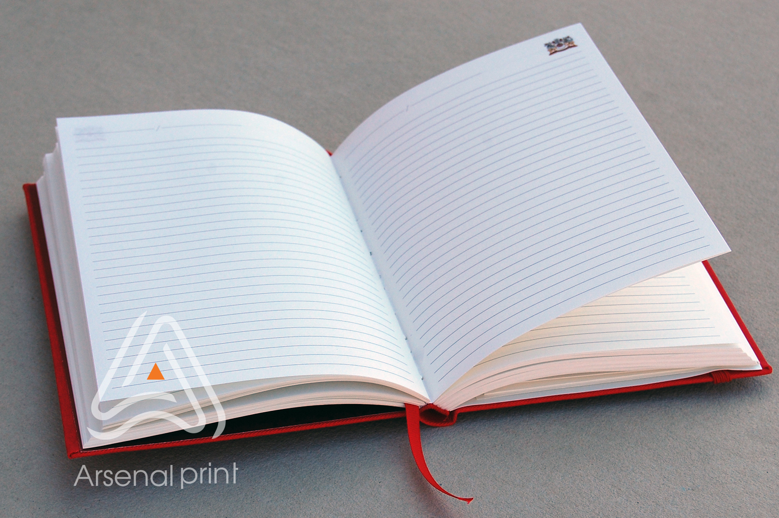 egednevnik-isgotovleniye