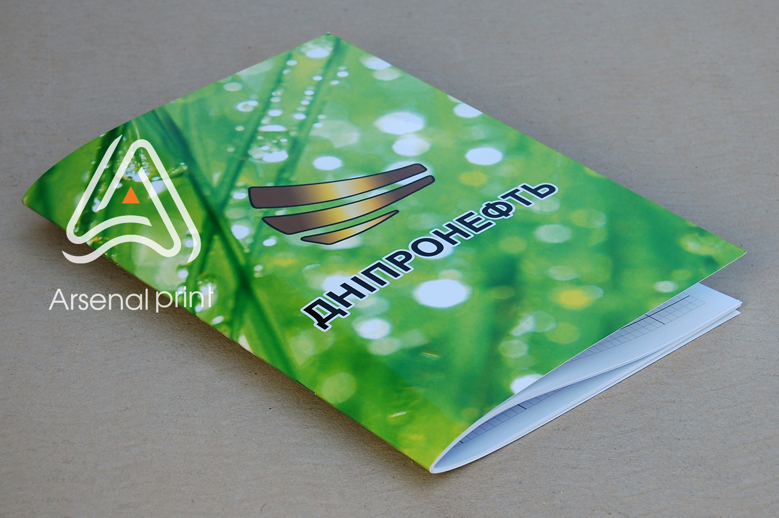 zakazat-rasrisovka-tetrad