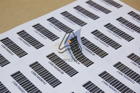 Друк змінних данних