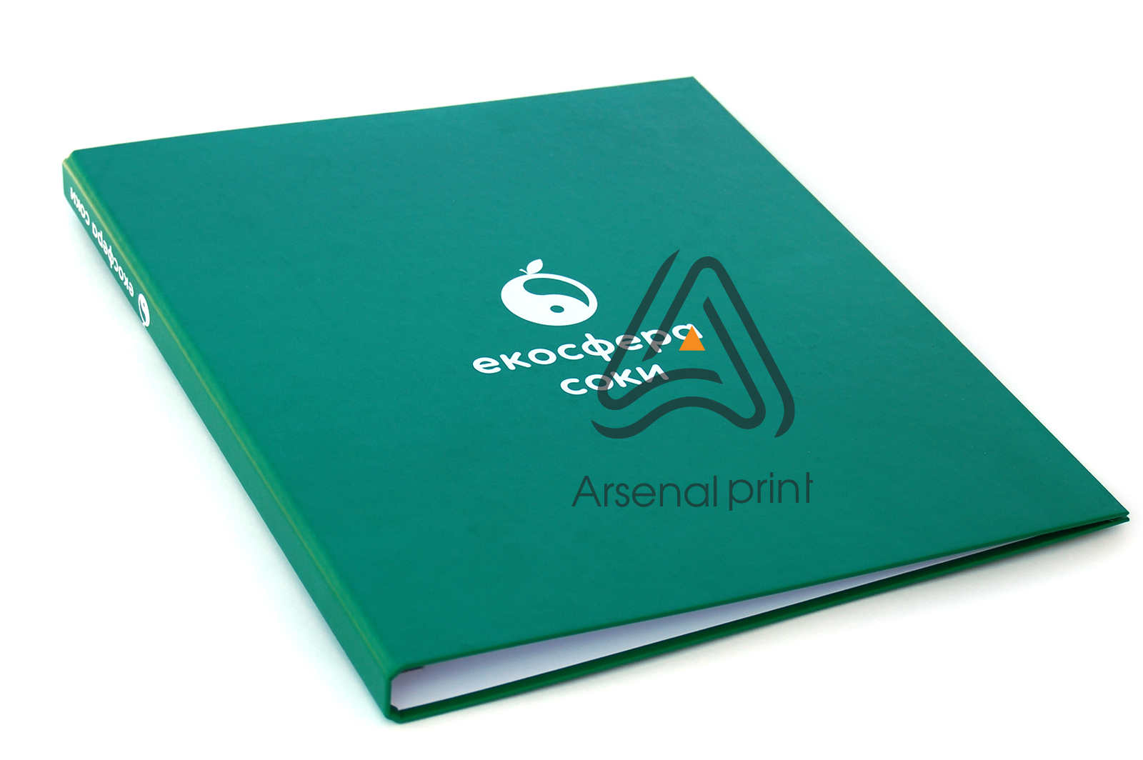 papka-perepletniy-karton