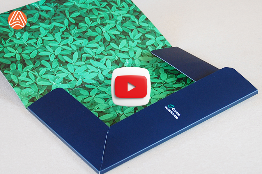 Друк картонної папки з висічкою