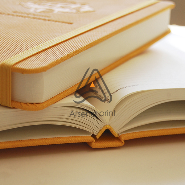 Планер-шкірзамінник-з резинкою