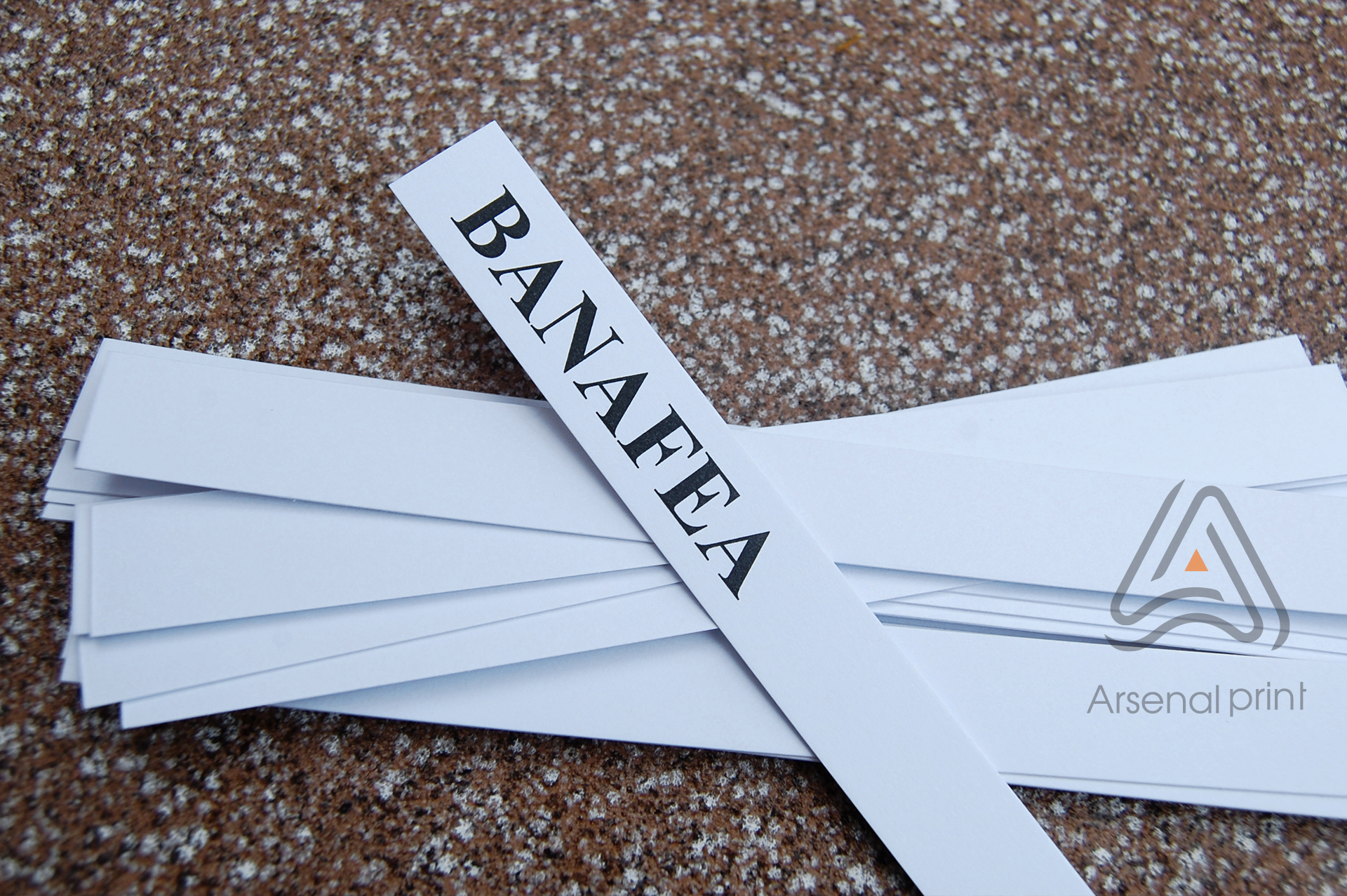 blotter-s-logo-zakazat