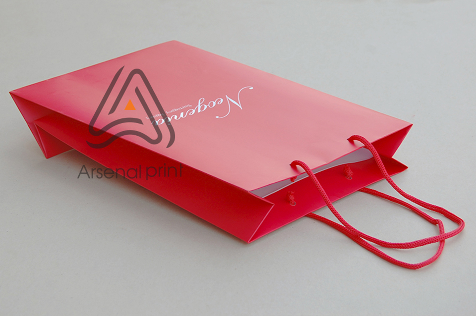 Пакет паперовий- однотонний. Друк