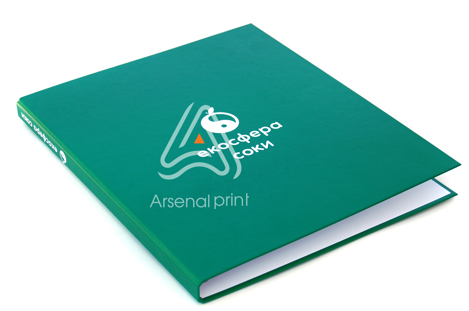 zakazat-papka-s-kolcevim-meshanismom