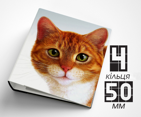 Папка на 4 кільця / — 50мм