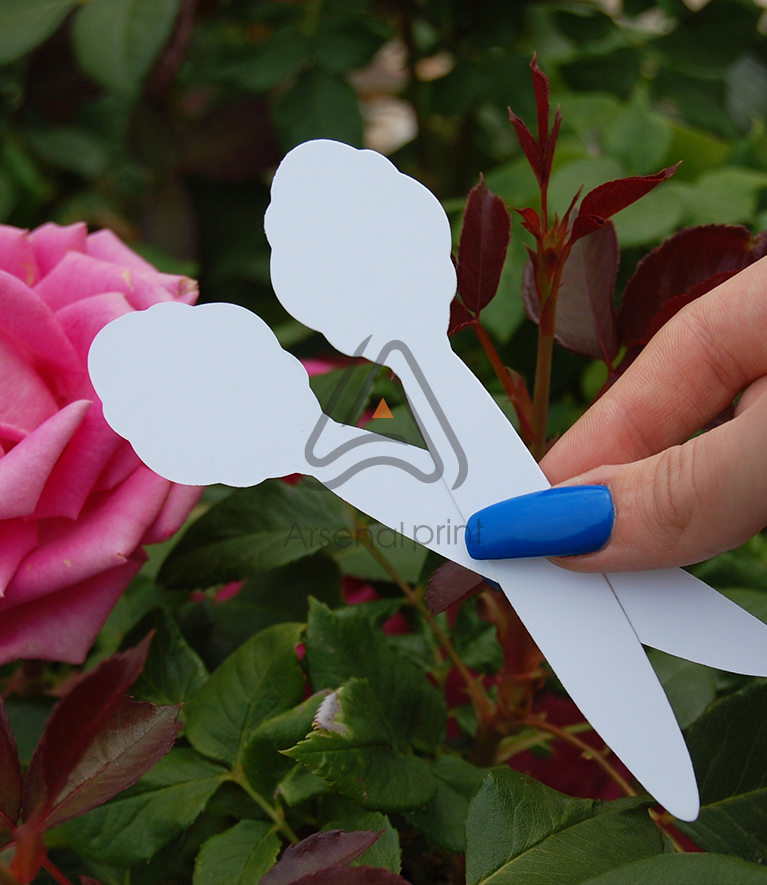 Блотери Маракеш