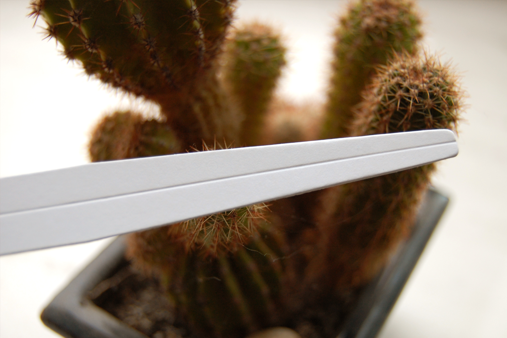 Купити блотери