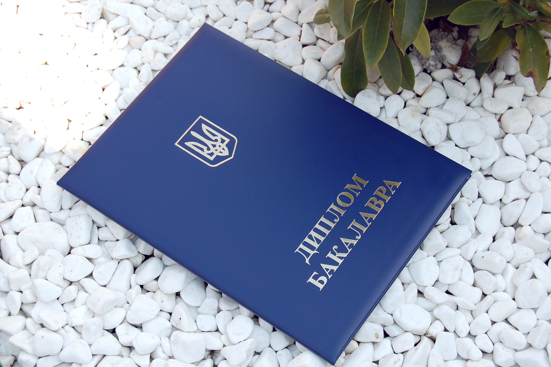 Обкладинка до диплому Бакалавр