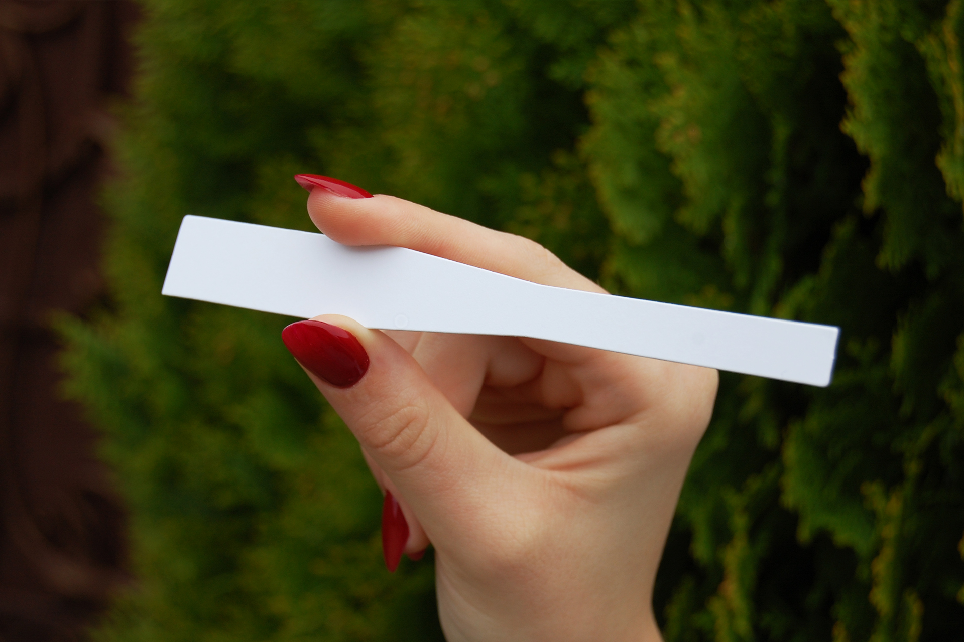 Блотери - смужка