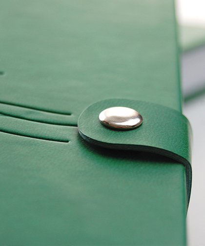 Хольнітени