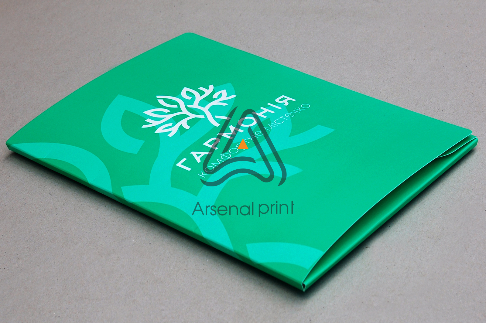 pechat kartonnih-papok