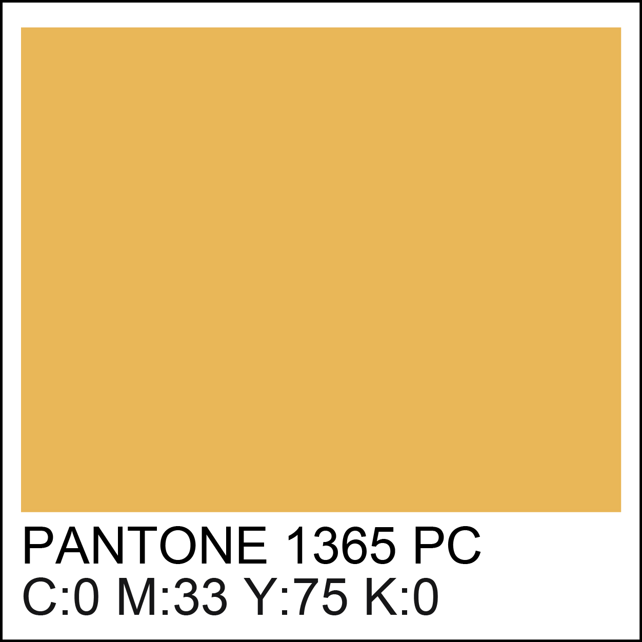 pantone-1365