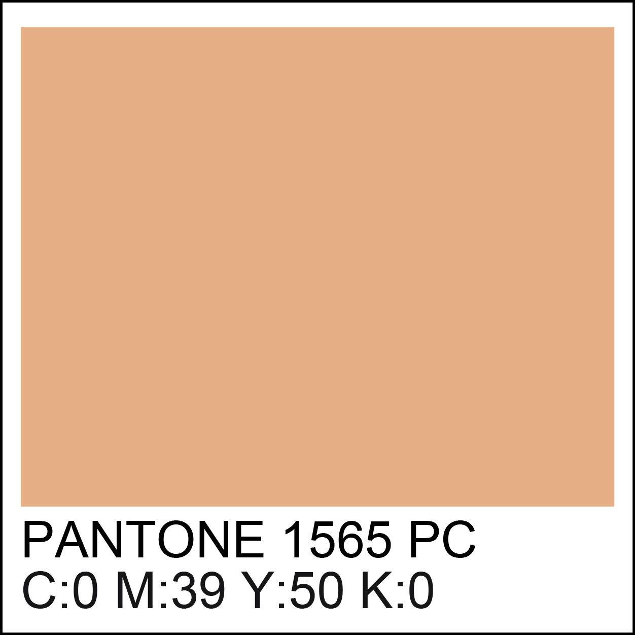 pantone-1565