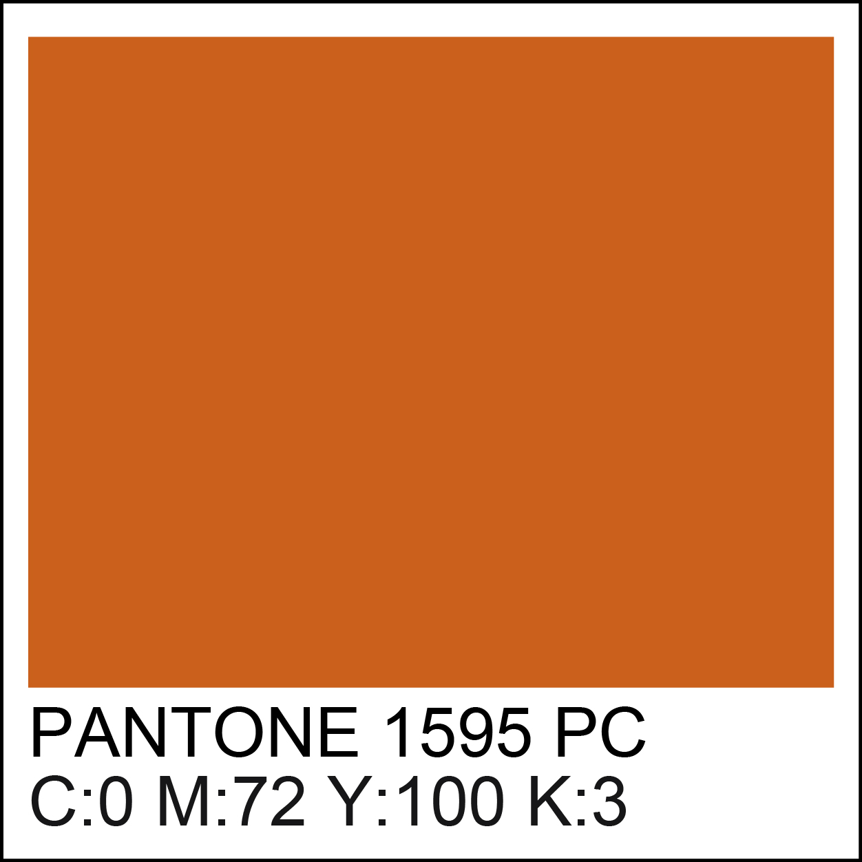 pantone-1595