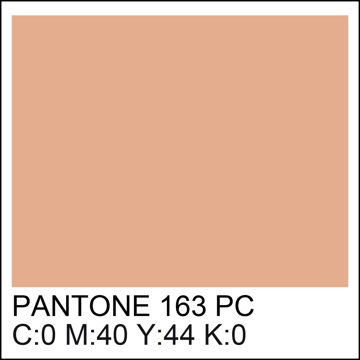 pantone-163