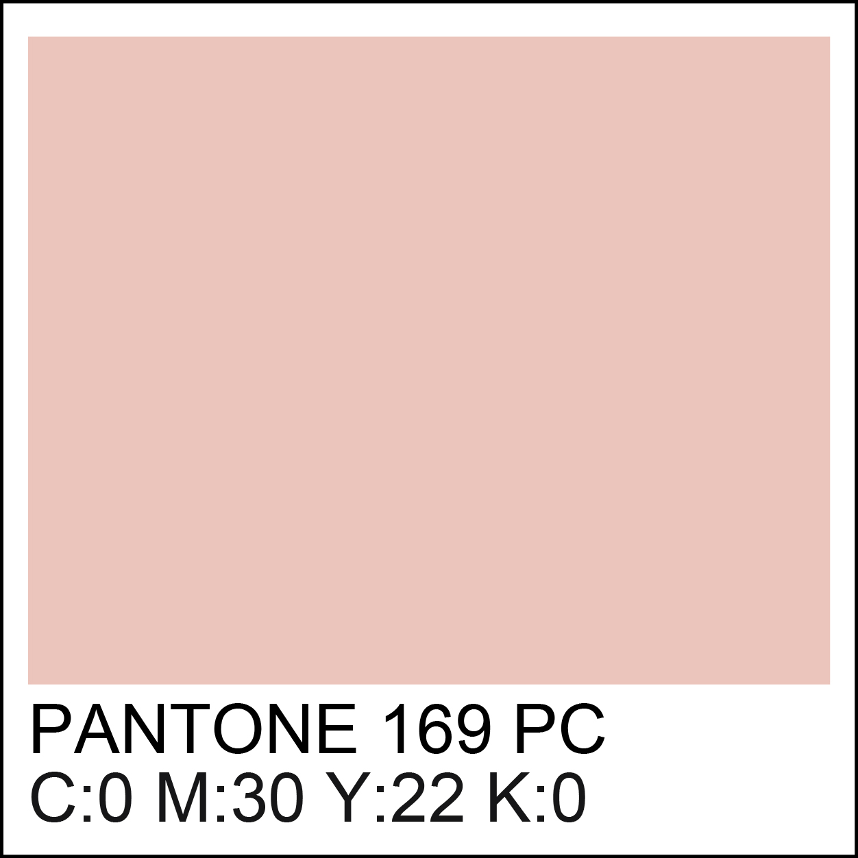 pantone-169