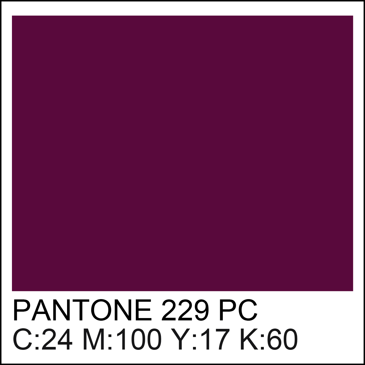 pantone-229