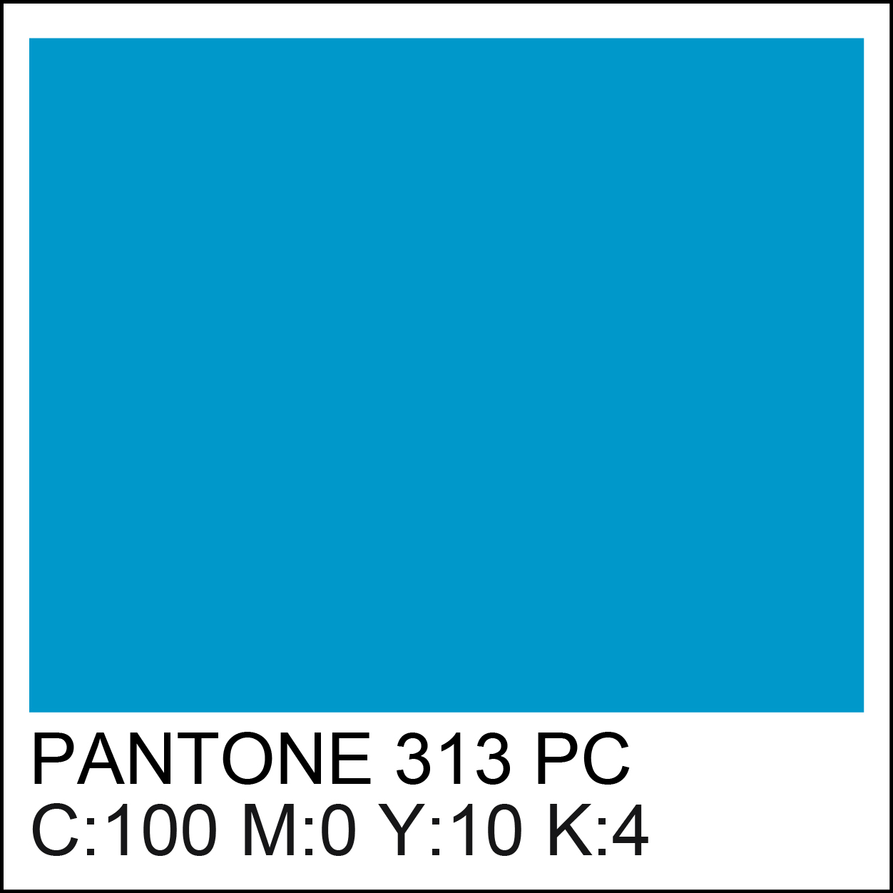 pantone-313