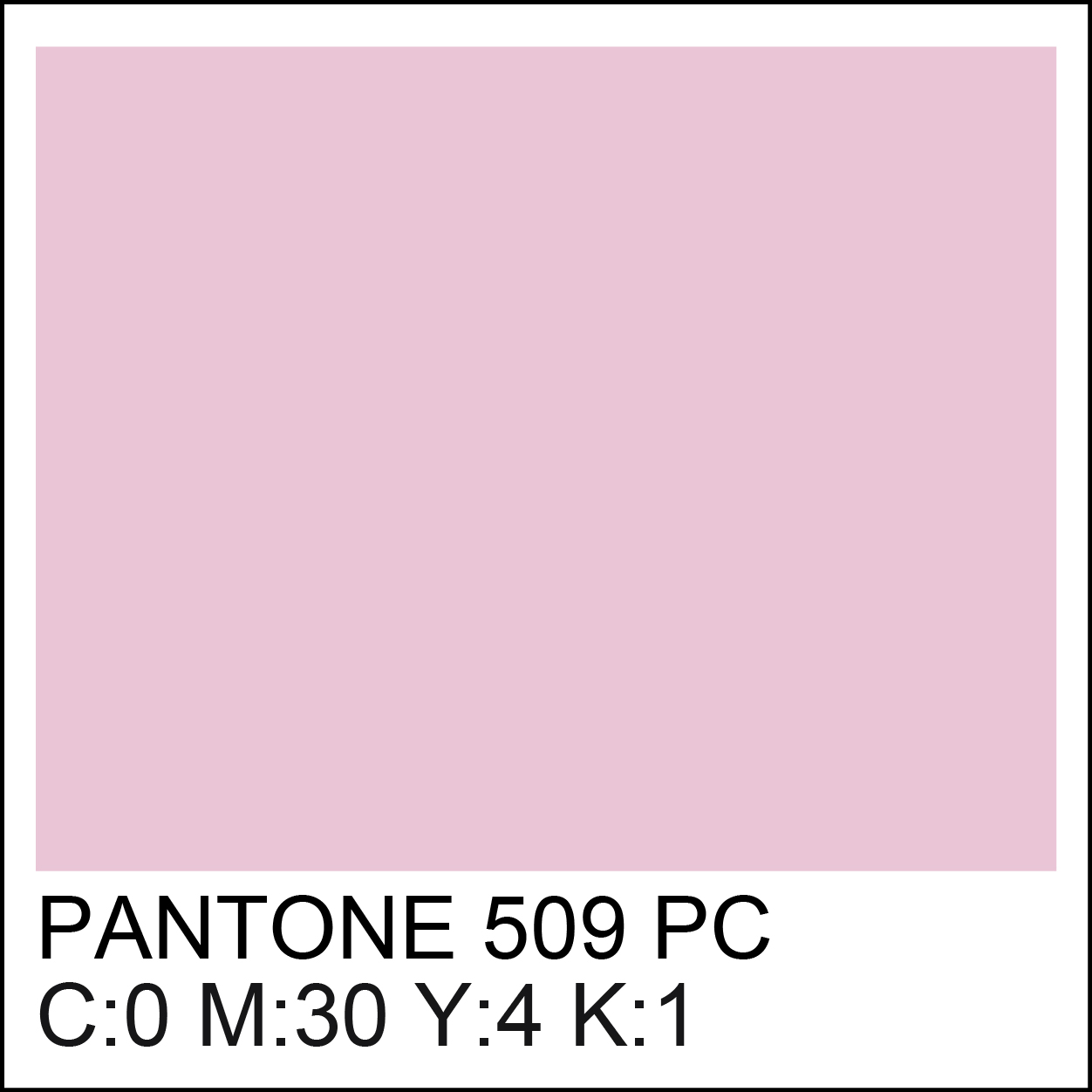 pantone-509