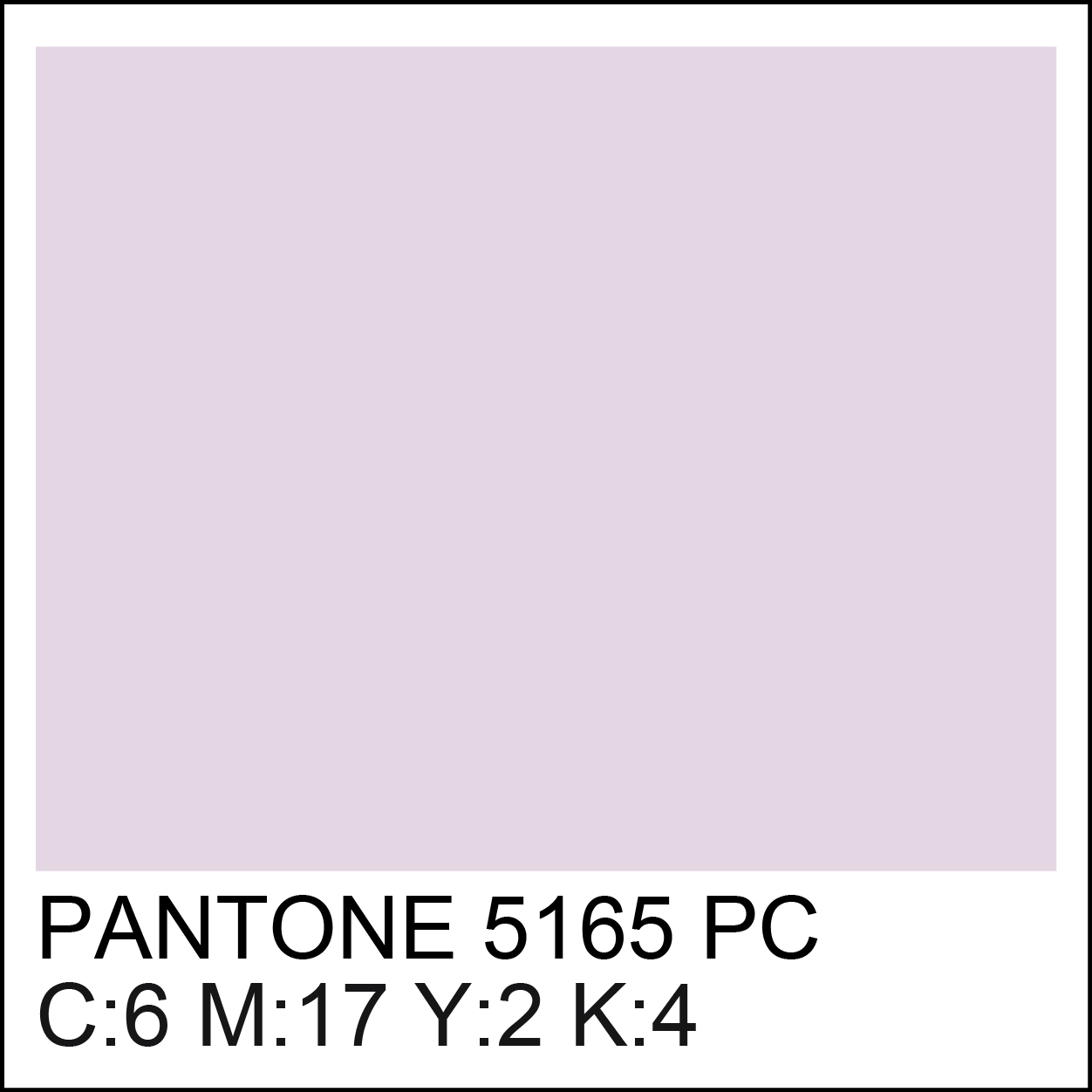 pantone-5165
