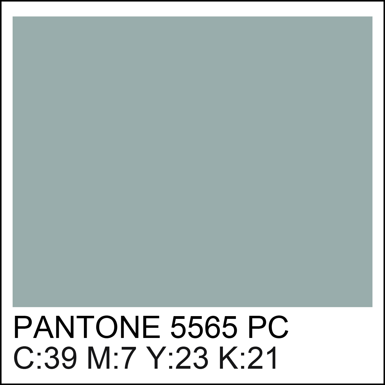 pantone-5565