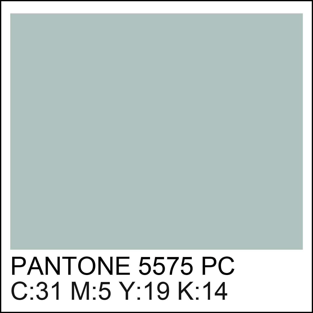 pantone-5575