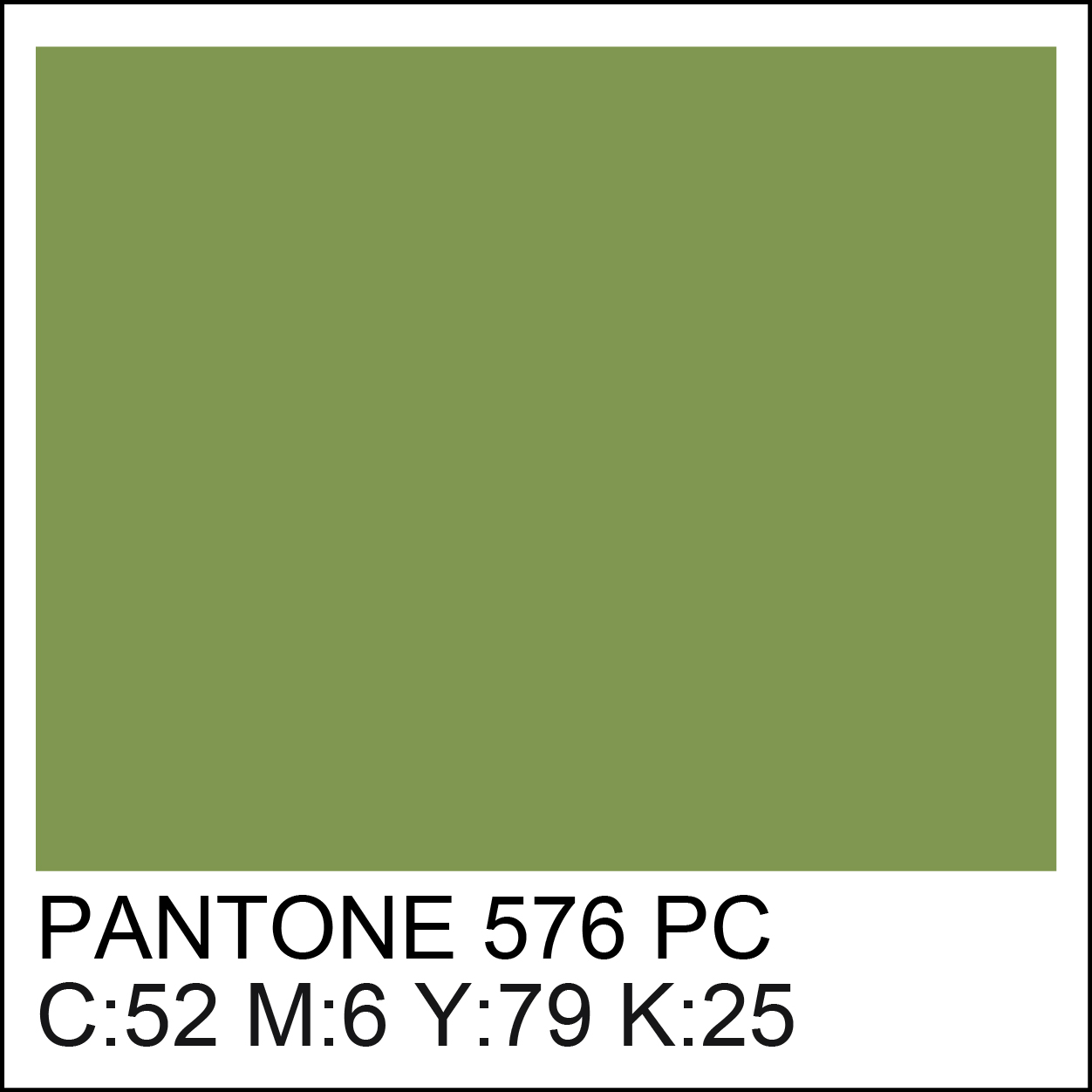 pantone-576