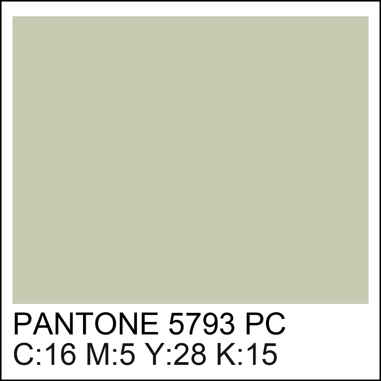 pantone-5793