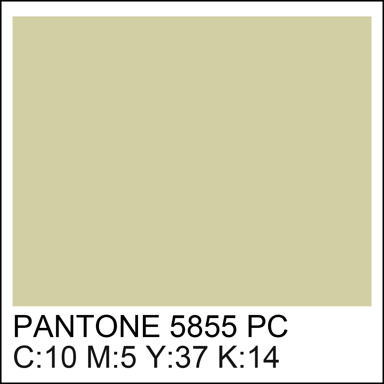 pantone-5855