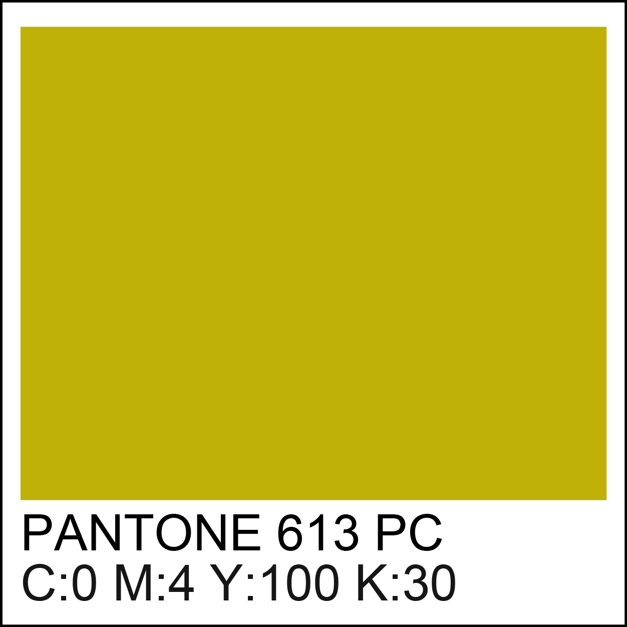 pantone-613