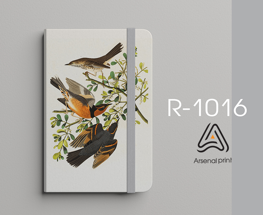 bloknot-s-resinkoy-svetlo seriy1016